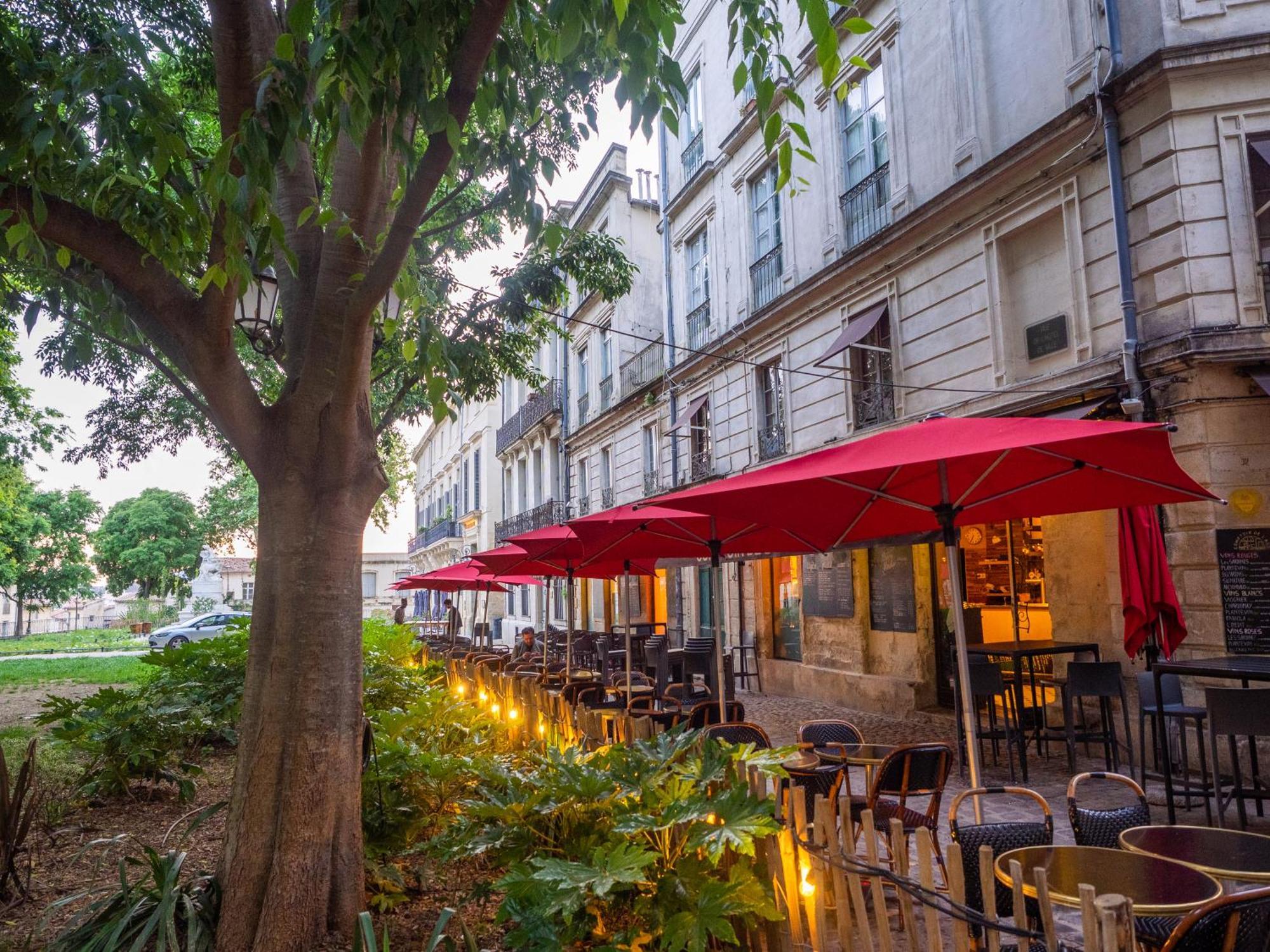 Le Platane De La Canourgue Montpellier Exterior foto