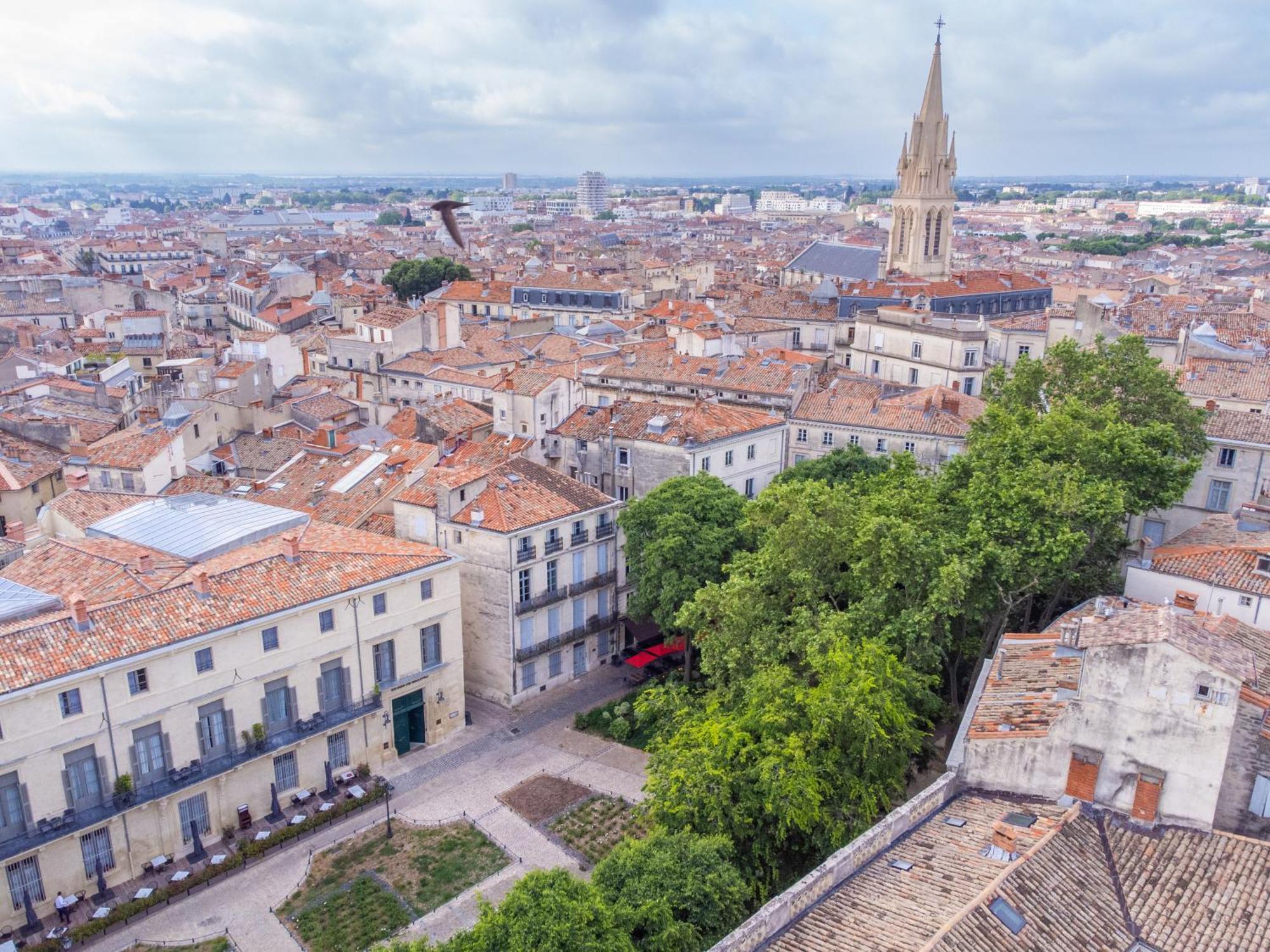 Le Platane De La Canourgue Montpellier Exterior foto